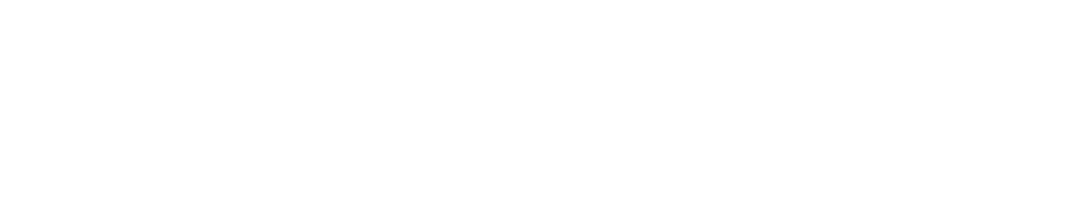 light logo